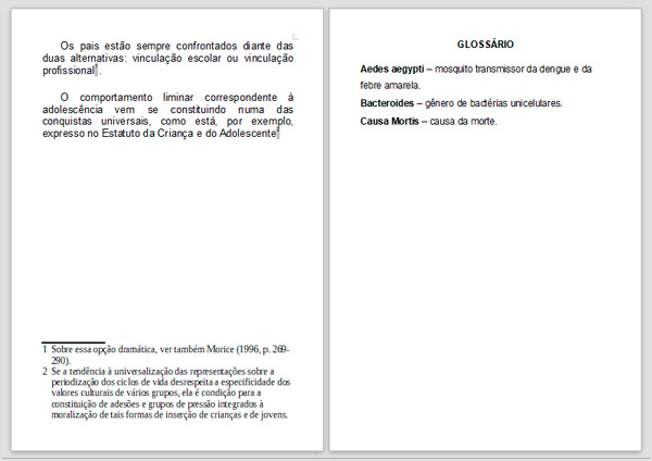 Exemplo Notas Explicativas ABNT